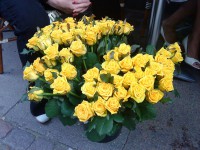TrannyLife uddelte gule roser.