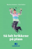 Så falt brikkene på plass