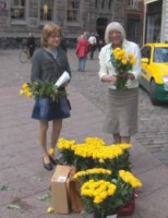Lea og Jytte Witt uddeler gule roser på lille Torv i Århus