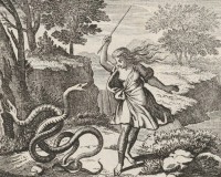 Tiresias slår slangerne og bliver som straf forvandlet til en kvinde.